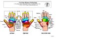 Hand Chart